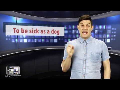 30 Second English Test: What does "to be sick as a dog" mean?