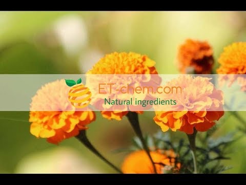 Marigold flower extracts, Lutein powder, Zeaxanthin, ETchem,organic,2018