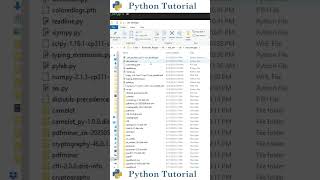 How to Avoid Version Conflicts in Python