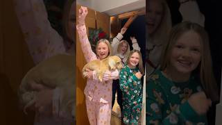 Were in! 🤣🎄