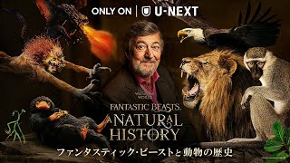 魔法生物の裏側に迫るドキュメンタリー『ファンタスティック・ビーストと動物の歴史』予告編【2022年4月6日よりU-NEXTにて見放題で独占配信】