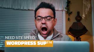 WordPress Speed Up Service – WP SUP™