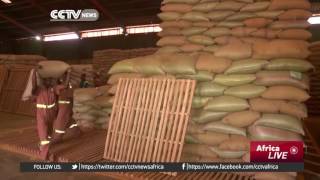 Uganda’s economy shrinks by 1.3%