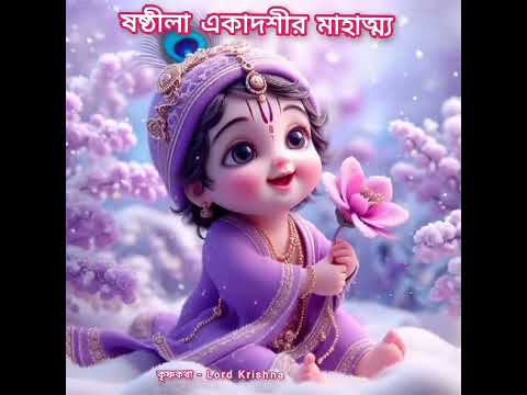ষটতিলা একাদশী মাহাত্ম্য || Shattila Ekadashi ||  #ekadashi  #ekadashivrat