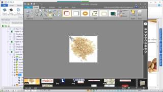 Discover the Powerful Authoring Tools in Lectora V11 e-Learning Software