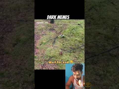 Try not to laugh 😂 #shorts #funnymemes #humor