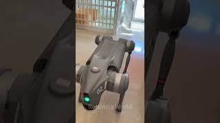 Smart Robot Dog#funny  #robot #shorts