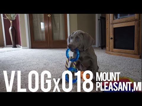 Katie got a new puppy!