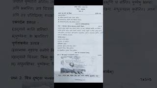 Sanskrit Class 6 Annual Examination Paper 2024-2025 #class6 #sanskrit  #shorts #viralvideo