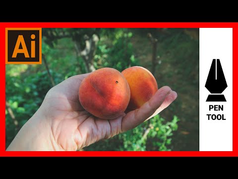 How To Remove The Backgroung In Adobe Illustrator Using The Pen Tool