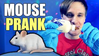 Angry Dad Double Mouse Prank