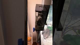 Easy sump for aquarium