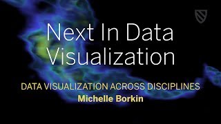 Next in Data Visualization | Michelle Borkin || Radcliffe Institute