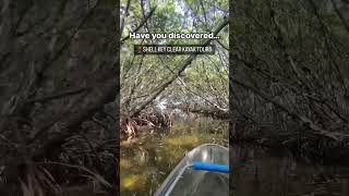 Discover Shell Key Preserve! #thingstodotampabay #clearkayak #exploreflorida