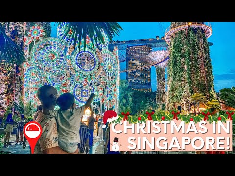 Christmas Wonderland at Gardens by the Bay | Singapore with Kids | Family Travel Vlog