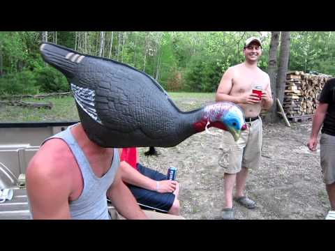 Angry Turkey