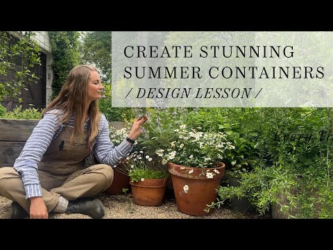 Create Stunning Summer Containers | Design Lesson