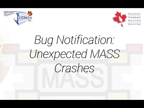 MASS Bug Support: Memory Leaks