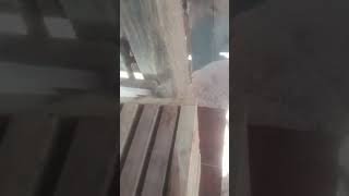 modelo de caixa para manduri