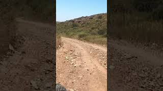 #joshuatree #mtblove #innerbloom #followme #subscribetomychannel #cycling #epicrides #specialized