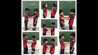 Grade 2 Explores the Wonders of the Human Heart | Hands-On Science Activity 🩺💓