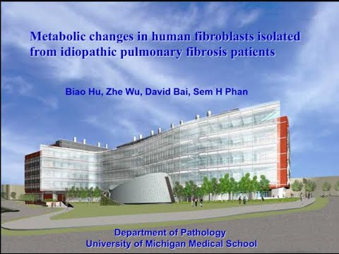 Metabolomics 2015 Workshop - NIH Pilot Studies Cancer