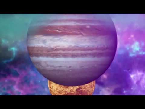 Grace Thompson - Rock it (dancing dog)