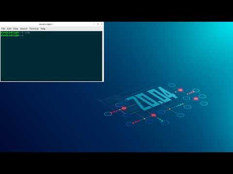 Lorem Ipsum Randon Text in VScode