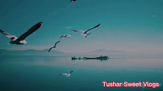 Travel Bangladesh ☘️🌲 Some of the most beautiful places in Bangladesh💗🔥