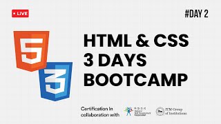 Day 2 | Styling and Layout with CSS