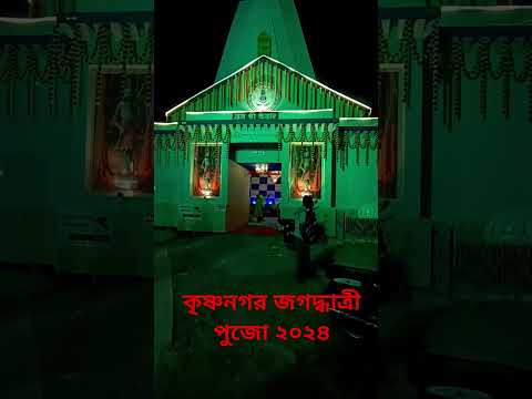 Nuri para barowari      #krishnanagar #jagadhatripuja2024 #jagatdhatripuja  #viralshorts #shorts