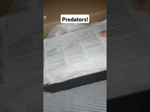 New Predators #football #soccer #athlete #footballboots #soccercleats