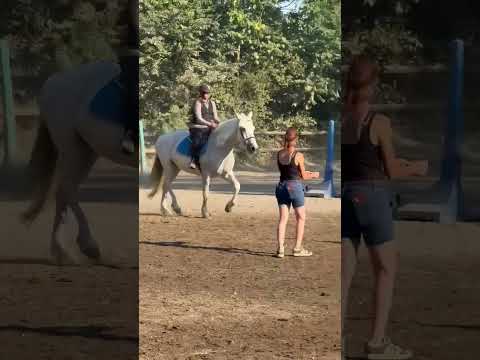 Ik my position is off but I’ve only had like 4 lessons and I’m going to try having jumping lessons