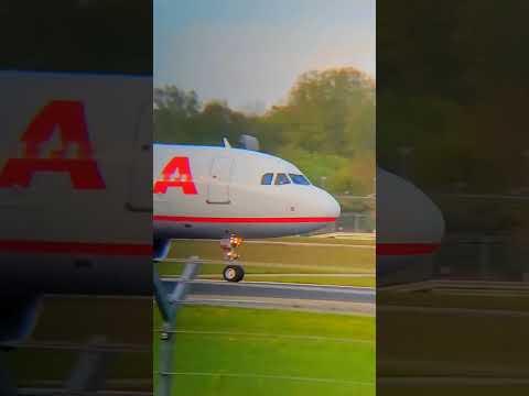 A320 LAUDA Airlines landing in Hamburg Airport #aviation #liveplanespotting #planespotting #airport