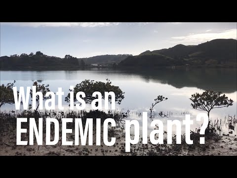 PLANTOPEDIA - Endemic