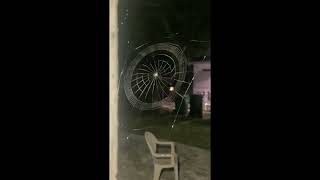 🕷️ spider, web . how spider make the web  creativity of God @786animalchanel ... like & subscribe.