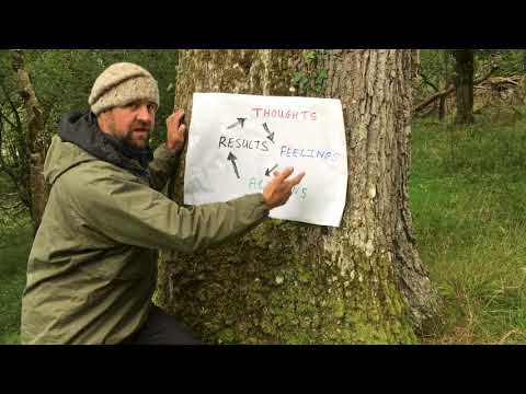Psychological Coaching T.F.A.R. Model