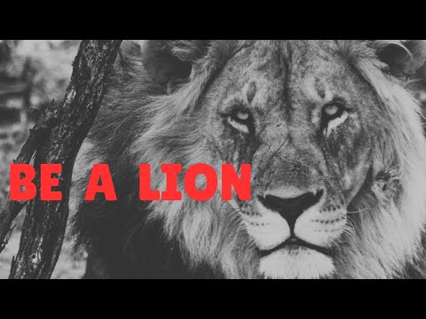The spirit of the lion
