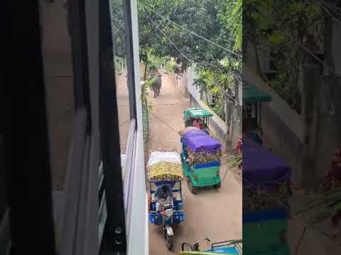 ভরসা  #crime #shorts