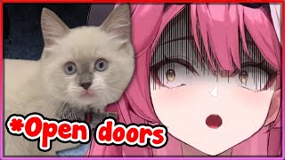 [ENG SUB/Hololive] Raora experiences firsthand just how smart John Cat is