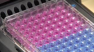 Altogen Labs Preclinical Research Services