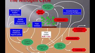 Frame William 11.17 Enhanced Efficiency Nitrogen Fertilizers: What are they? Why use them?