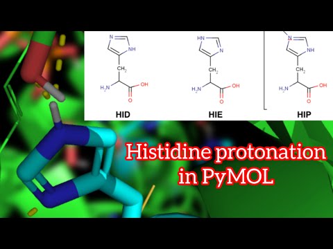 Histidine protonation evaluation (part II)