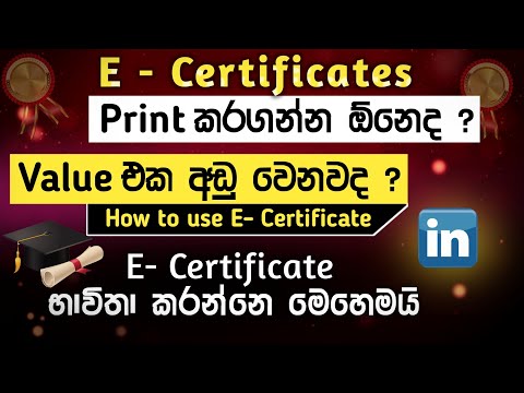 E-Certificate 2025 Ultimate Guide 💡 | Print Instantly, Prove 100% Value & Get Jobs Anywhere 