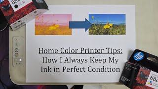 Your Printer Isn’t Broken – This Simple Habit Fixes It