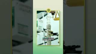 Did You Know About the Triple Point? 😲 | Science Explained #science #education