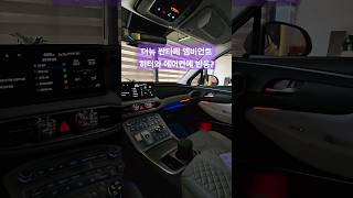 더뉴 싼타페 엠비언트 라이트 실내 조명 시공 튜닝 #싼타페 #엠비언트