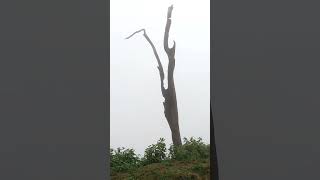 Trekking in Monsoon @shutterPhyscho@Eos200Dii#videography #youtubeshorts #androidvideoediting