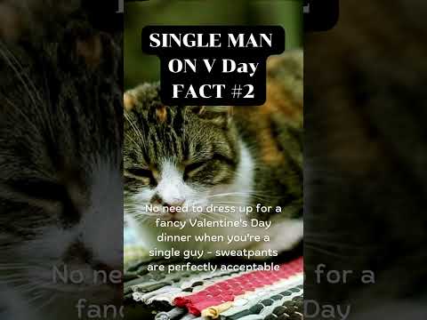 SINGLE MAN ON V Day FACT#2