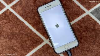 Update iOS iPhone 7 iOS 15.8.4 ke iOS 15.8.6